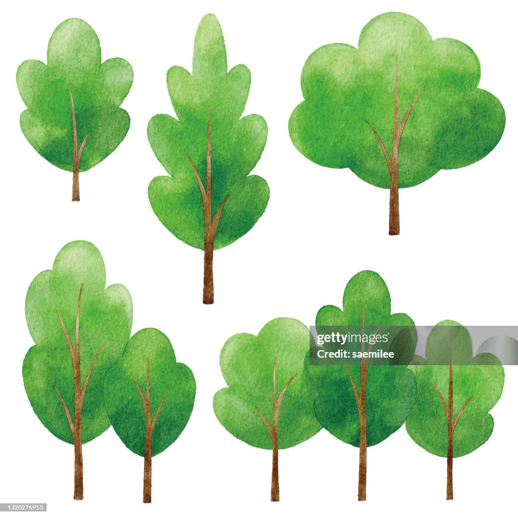 Acuarela Árboles Verdes