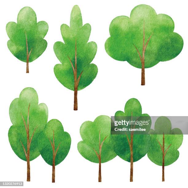 watercolor green trees - tree stock illustrations
