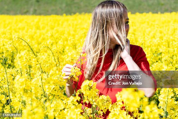 foto de una mujer atractiva con un vestido rojo que esta en medio de un campo de flores amarillas llamadas colza o canola. - vestido rojo stock-fotos und bilder