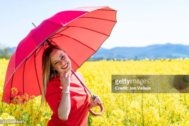 mujer rubia muy atractiva posando con su paraguas rojo y su vestido rojo en medio de un campo muy grande de flores amarillas llamadas colza o canola. - vestido rojo stock pictures, royalty-free photos & images