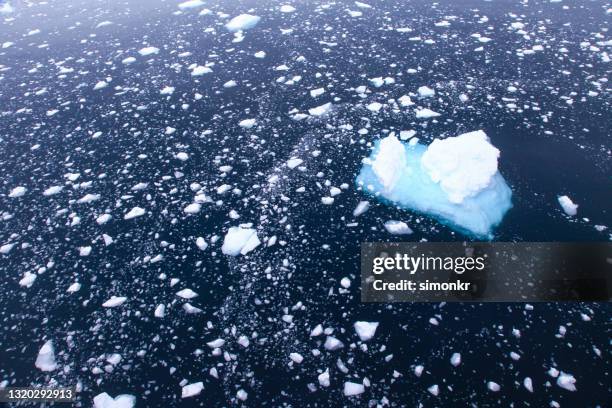 iceberg and ice floating on sea water - ice sheet stock pictures, royalty-free photos & images