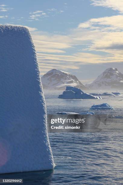 glaciär och berg mot molnig himmel - antarktiska halvön bildbanksfoton och bilder