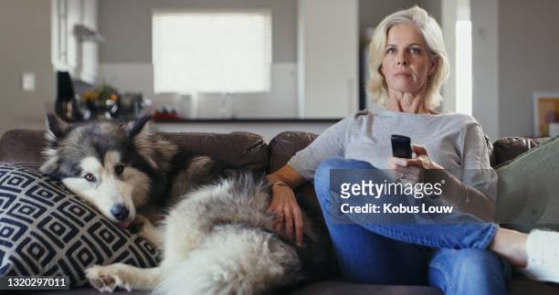 schuss einer reifen frau sitzt auf dem sofa zu hause und streichelt ihren hund beim fernsehen - malamute stock-fotos und bilder