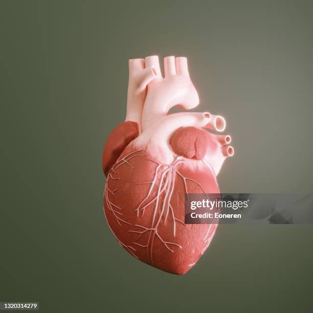 human heart - digital health illustration stock pictures, royalty-free photos & images