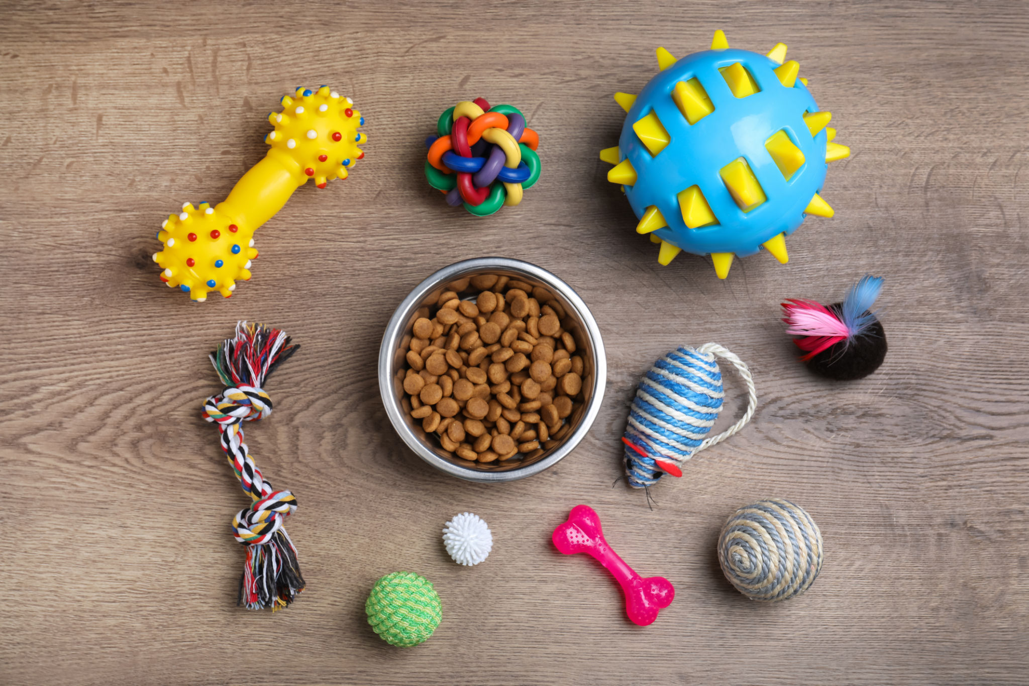dog training tools
