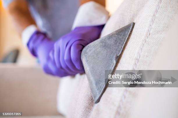 hand with a purple protective glove cleans a sofa's upholstery with a vacuum - purple glove stock pictures, royalty-free photos & images