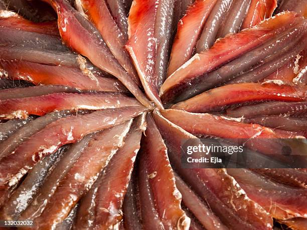 peixe azul (anchovas) filles bruto - anchova imagens e fotografias de stock