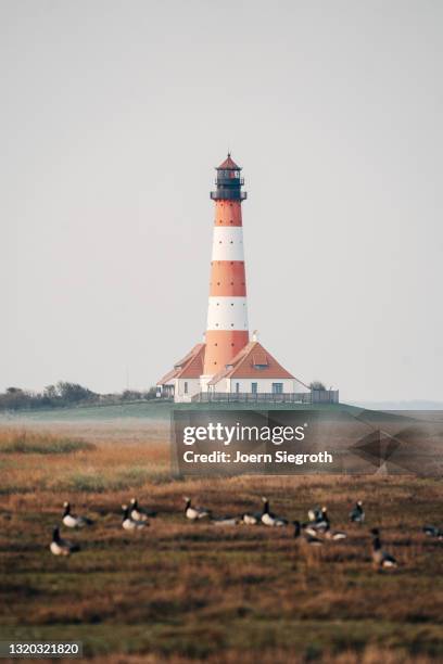 leuchtturm westerhever an der nordsee - nordsee strand stock pictures, royalty-free photos & images