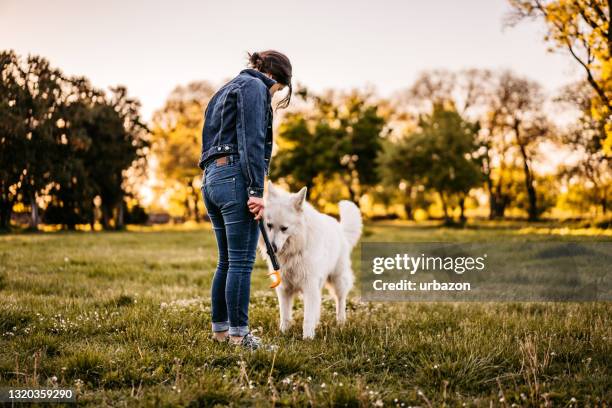 happy young woman playing with her dog on the grass - off leash dog park stock pictures, royalty-free photos & images