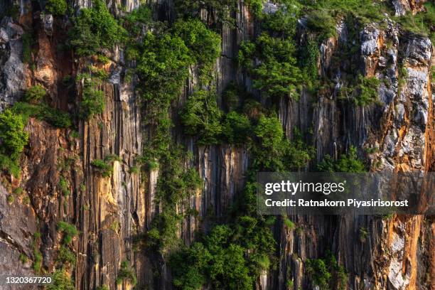 pattern of cliff, rock mountain, nature, tree, background - formación de roca fotografías e imágenes de stock