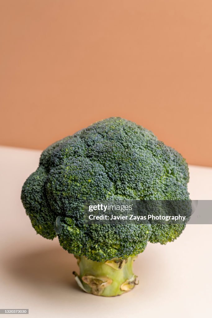 Close-Up Of Broccoli Against Pastel Background