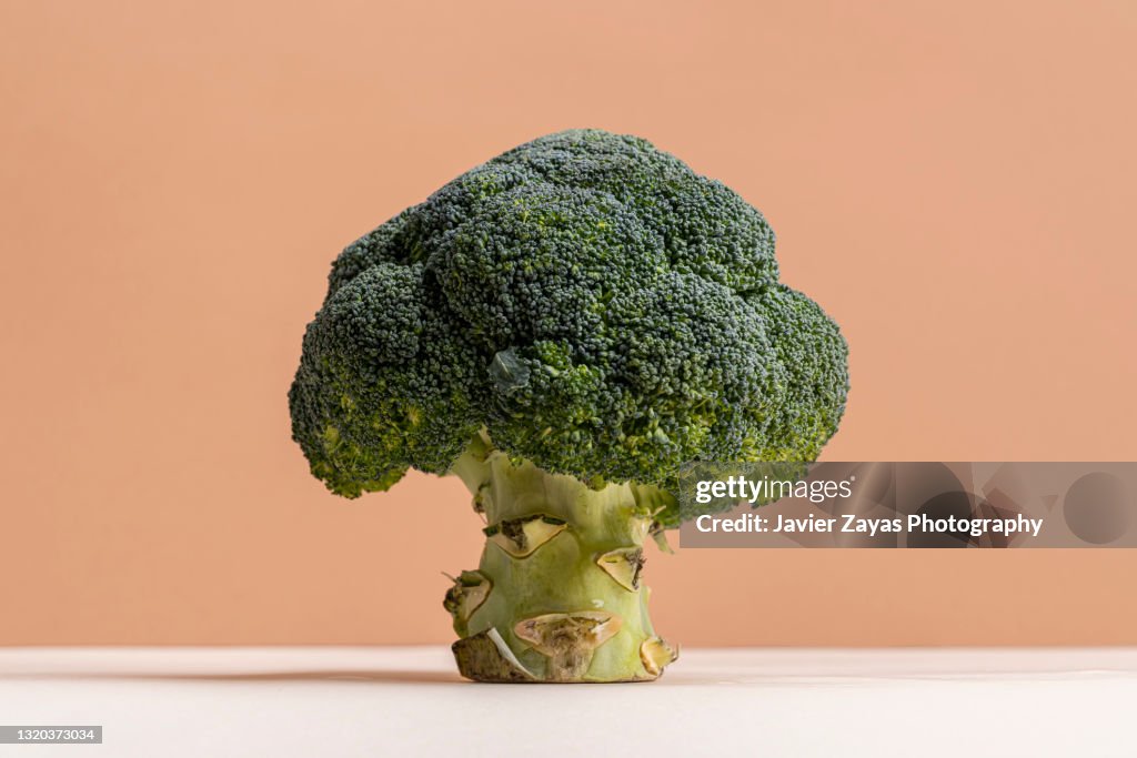 Close-Up Of Broccoli Against Pastel Background