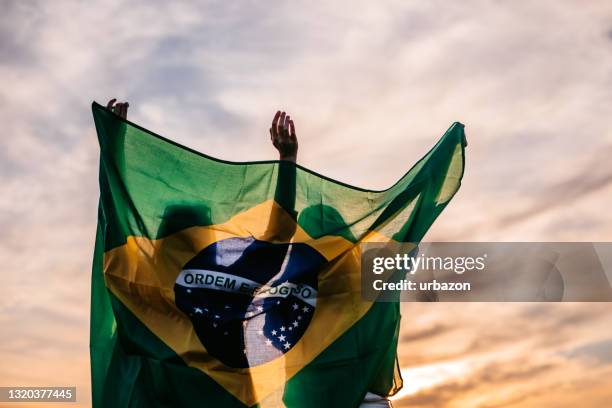 due donne con bandiera brasiliana sul prato - brazilian flag foto e immagini stock