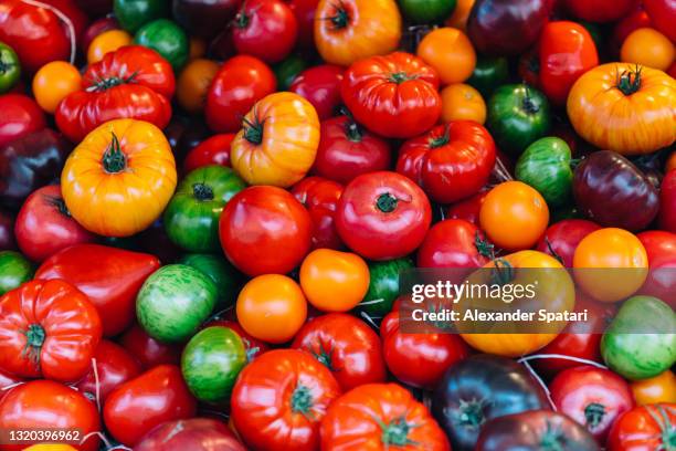 multi-colored tomatoes at the farmer's market - tomate fotografías e imágenes de stock
