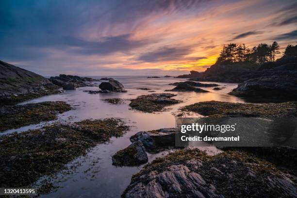 botany bay port renfrew - cielo romantico foto e immagini stock