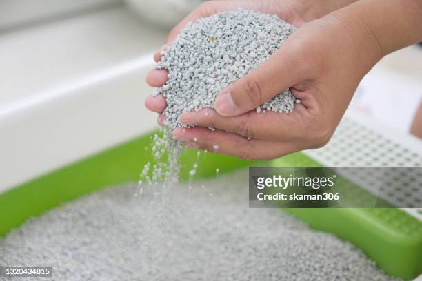 unhygienic free hand holding dry cat litter sandbox - litter stock pictures, royalty-free photos & images