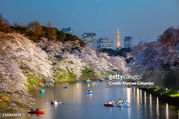 chidorgafuchi moat illuminated and skyline, tokyo - cherry blossoms bloom in tokyo stock pictures, royalty-free photos & images