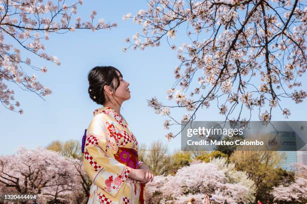 woman in kimono enjoying cherry blossoms japan - cherry blossoms in full bloom in tokyo imagens e fotografias de stock