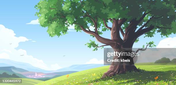 ilustraciones, imágenes clip art, dibujos animados e iconos de stock de gran árbol viejo en una colina - aldea