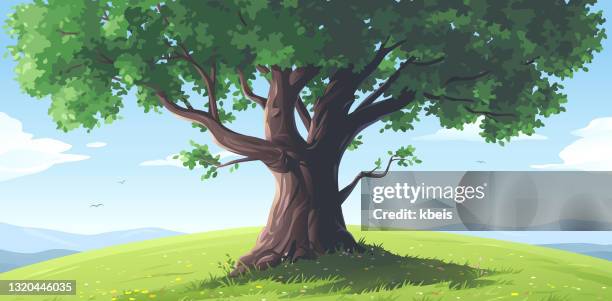 17,222 Animated Tree High Res Illustrations - Getty Images 17,222 Animated Tree High Res Illustrations - Getty Images
