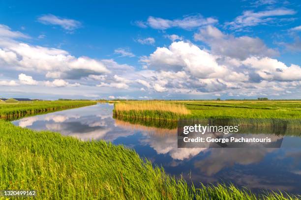 beautiful clouds reflection on a calm river - rivier gras oever stockfoto's en -beelden