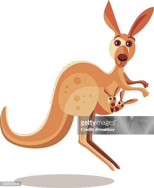 ilustrações de stock, clip art, desenhos animados e ícones de canguru e bebé - canguru