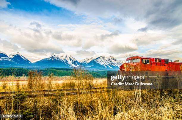 train passing by with rocky mountains in kootenay park - locomotive side view stock pictures, royalty-free photos & images
