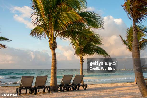 beach chairs on sandy beach with palm and turquoise sea. summer vacation and travel concept - gulf of mexico oil rig stockfoto's en -beelden