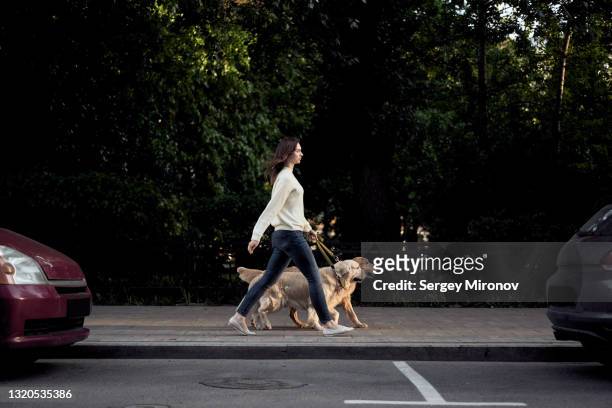 young woman walking with her dogs at city street - walking side by side stockfoto's en -beelden