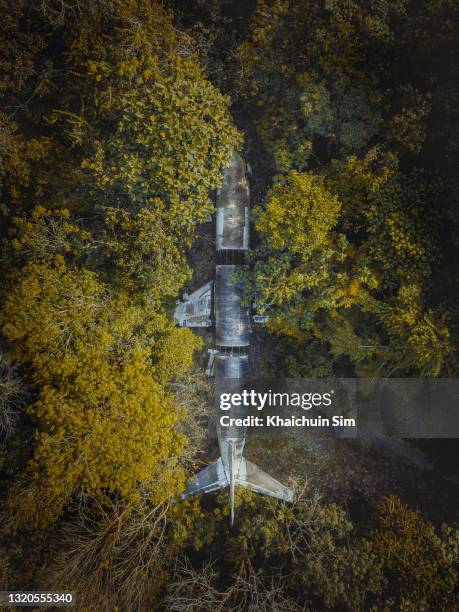 abandoned plane wreck in jungle - accident et crash aérien photos et images de collection