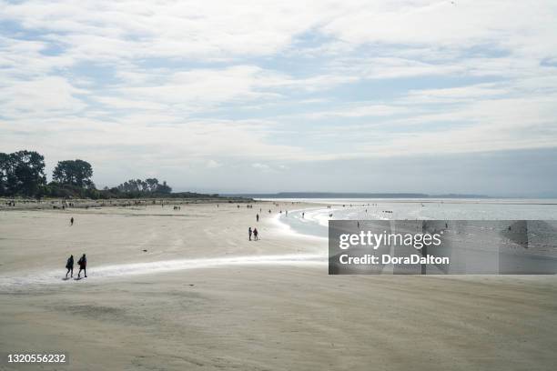 state highway 6, rocks road und tahunanui beach blick in moana, nelson, neuseeland. - nelson new zealand stock-fotos und bilder