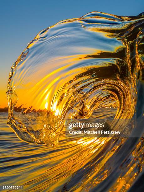 golden - belleza de la naturaleza fotografías e imágenes de stock