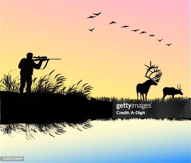trophee hunting - shooting pool stock illustrations