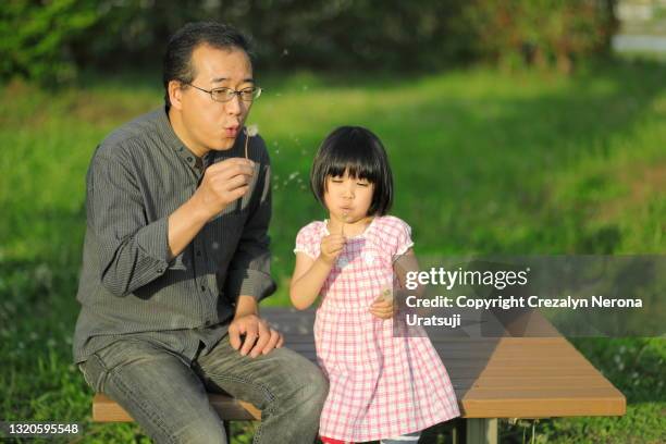 father and child blowing dandelions - 父の日　日本 ストックフォトと画像