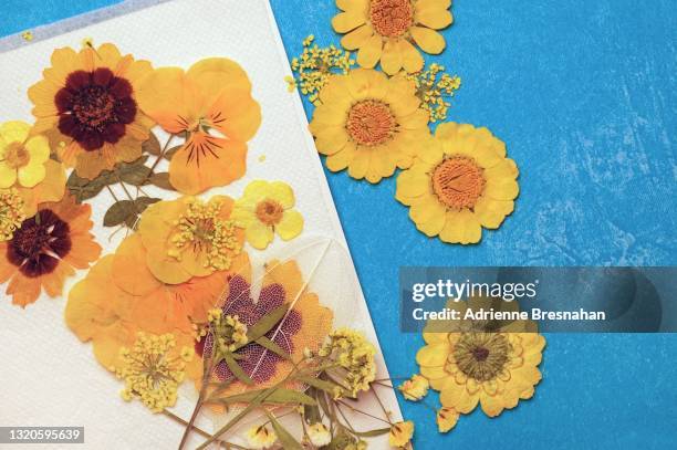 flat lay of crafts with dried pressed flowers - dried plant stock pictures, royalty-free photos & images