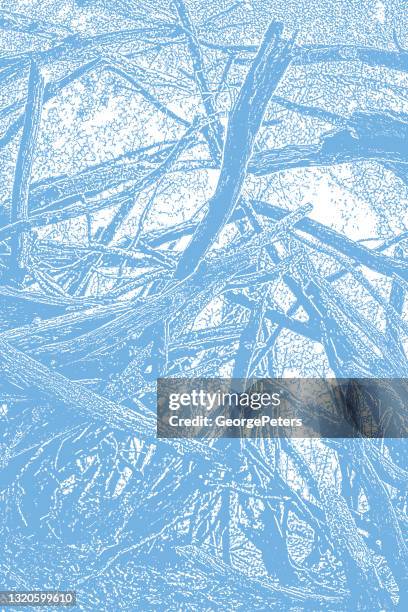 old shelter of branches in forest - tree bark texture background stock illustrations