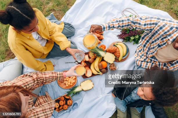 happy family on a picnic with beautiful and delicious food. - picknick stockfoto's en -beelden