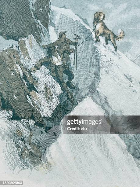 saint bernard dog with guides at a crevasse - crevasse stock illustrations