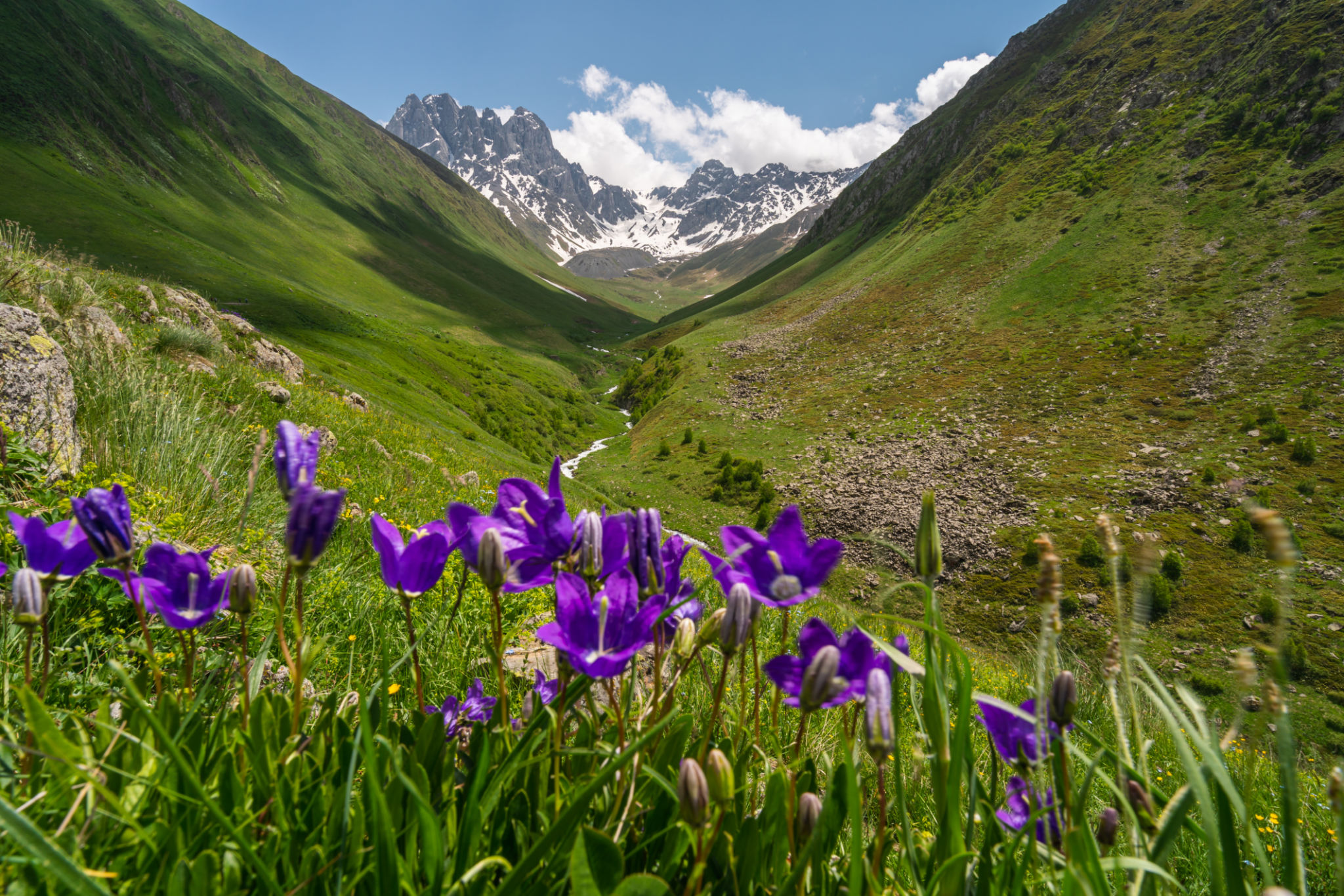 Summer season in Juta valley, small village in Caucasus mountains range in Georgia country Summer season in Juta valley, small village in Caucasus mountains range in Georgia country