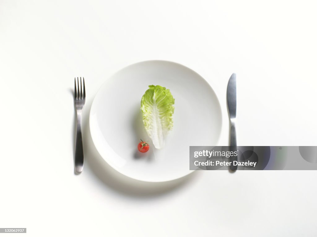 Dieter meal on pate with copy space