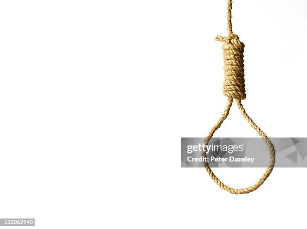 hangman's noose on white background and copy space - noeud coulant photos et images de collection
