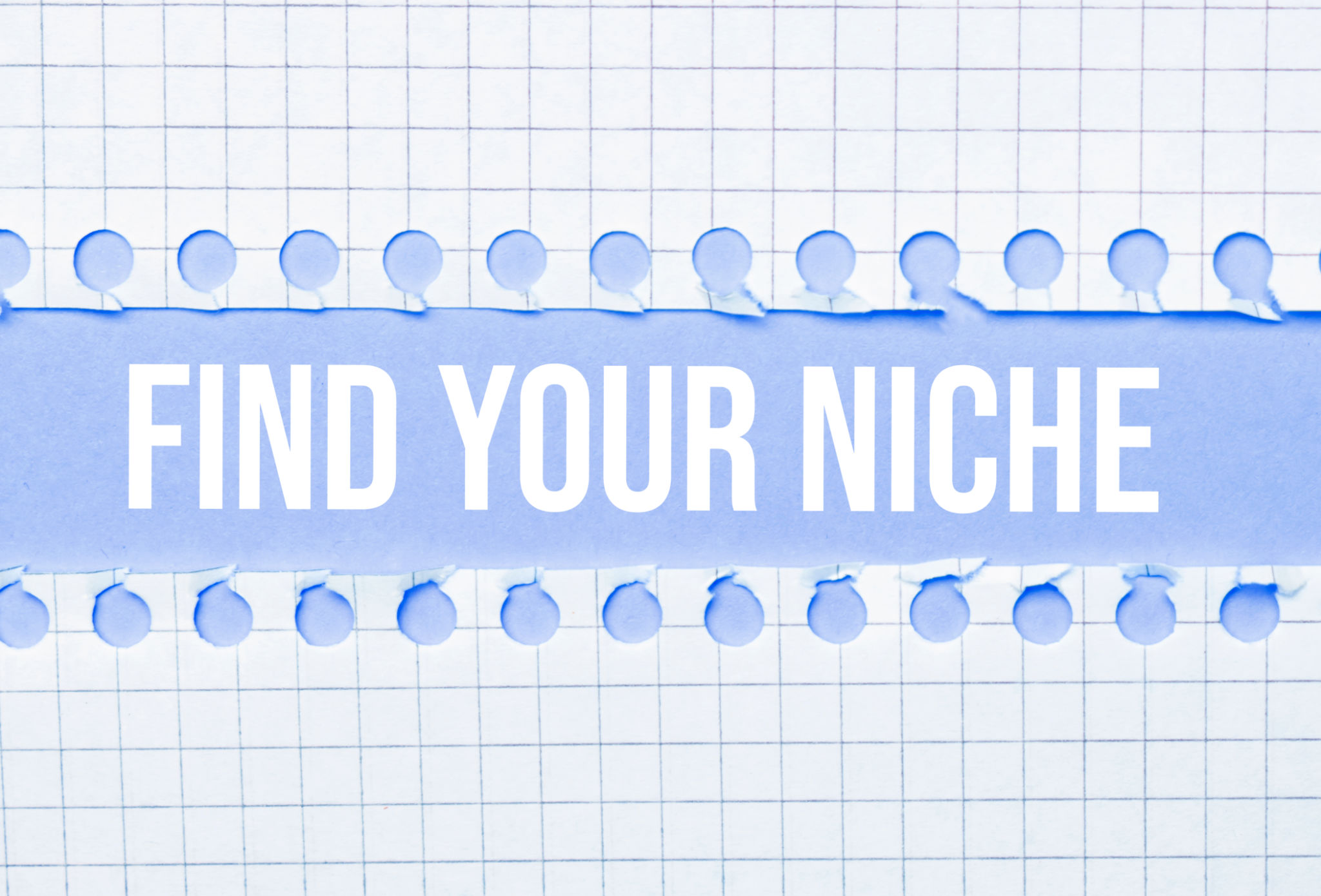 coaching niche