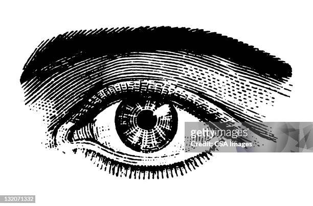 nahaufnahme der augen - eyeball stock-grafiken, -clipart, -cartoons und -symbole