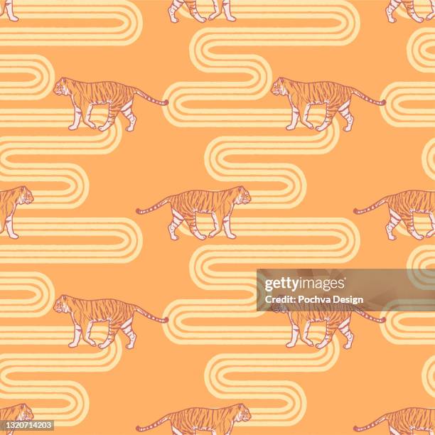 Tiger Pattern Moving Tiger Walking Sideways Photos and Premium High Res Pictures - Getty Images