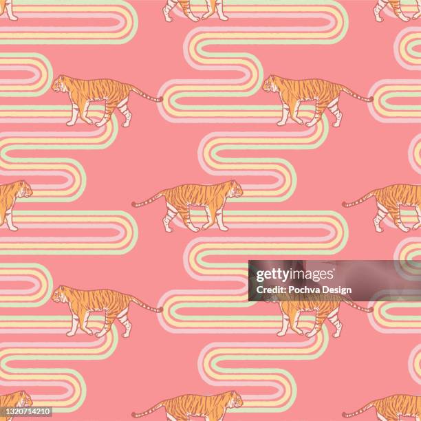 Tiger Pattern Moving Tiger Walking Sideways Photos and Premium High Res Pictures - Getty Images