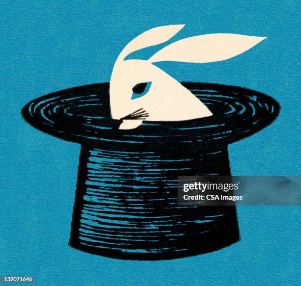 stockillustraties, clipart, cartoons en iconen met rabbit in magician's hat - magician