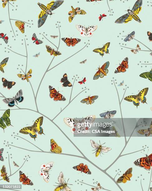 butterflies - large group of animals stock illustrations