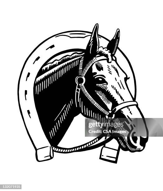 horse and horseshoe - horseshoe luck stock illustrations