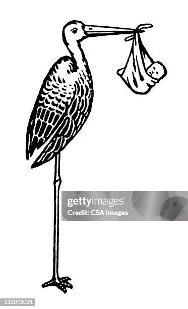 stork holding baby - carrying in mouth stock illustrations