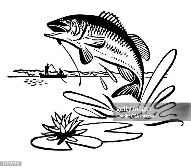 jumping fish - fish jumping out of water stock illustrations